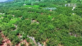 ayx-关于輭輾犞'烞^爣佒aQ?杏WgwBo0裡&amp;l搲汶槝x茦u>v失?U??E粲的信息